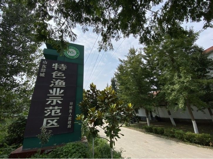 郯城龍魚的飼養技術（山東省郯城縣龍魚養殖技術）