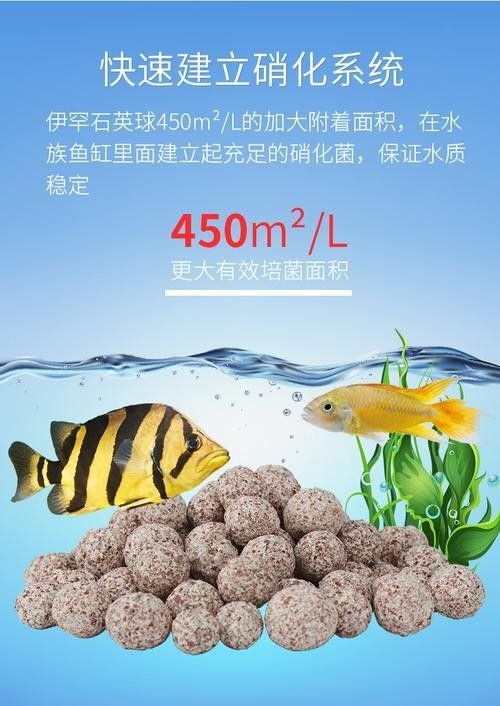 德國伊罕水族濾材有講究伊罕濾材效果佳你用對了嗎（伊罕水族濾材有講究伊罕濾材效果佳你用對了嗎）