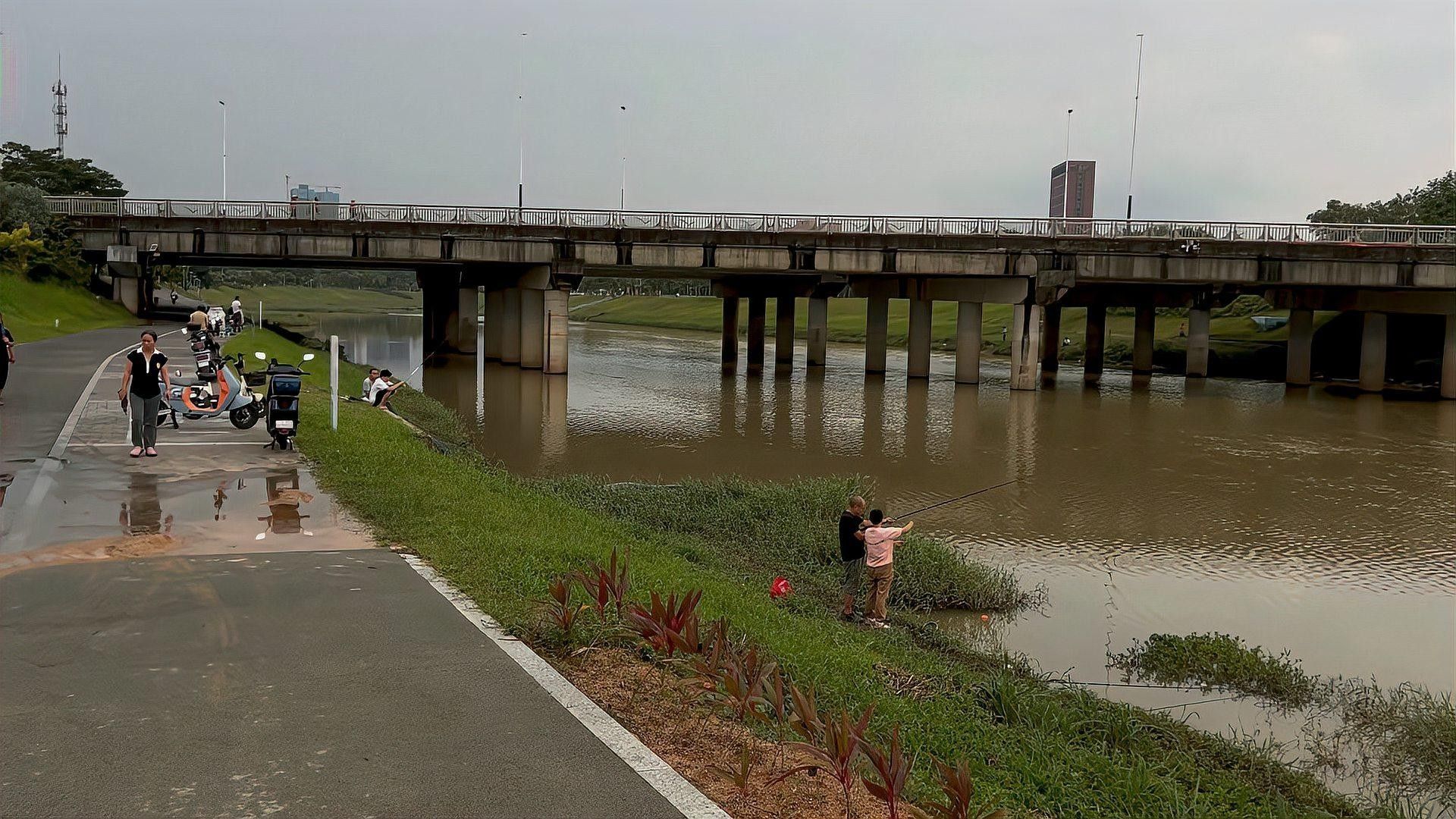 深圳坪山河公園發(fā)現(xiàn)巨物超大白條魚破紀(jì)錄超大白條魚破紀(jì)錄（坪山河公園解鎖新魚種，超大白條魚破紀(jì)錄！）