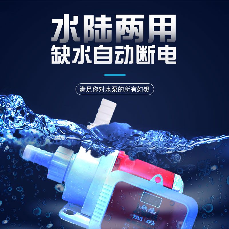 清蒸龍魚的家常做法及竅門，不知道你從中找到你需要的信息了嗎（家常清蒸龍魚的做法及竅門，清蒸龍魚的做法及竅門及竅門）