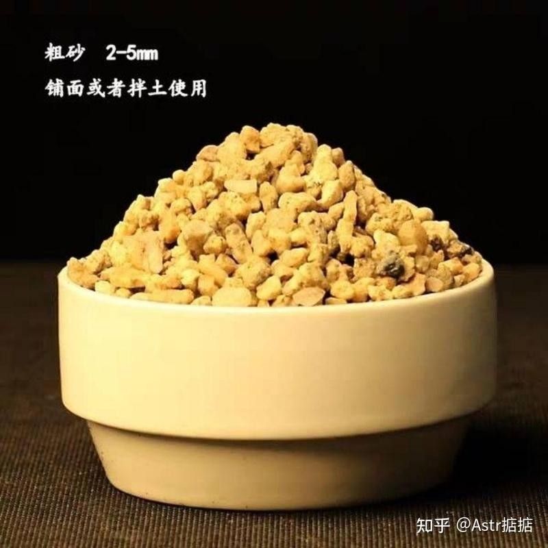 白子關刀魚需要底砂嗎（白子關刀魚是否需要底砂取決于養殖的具體環境和目的）