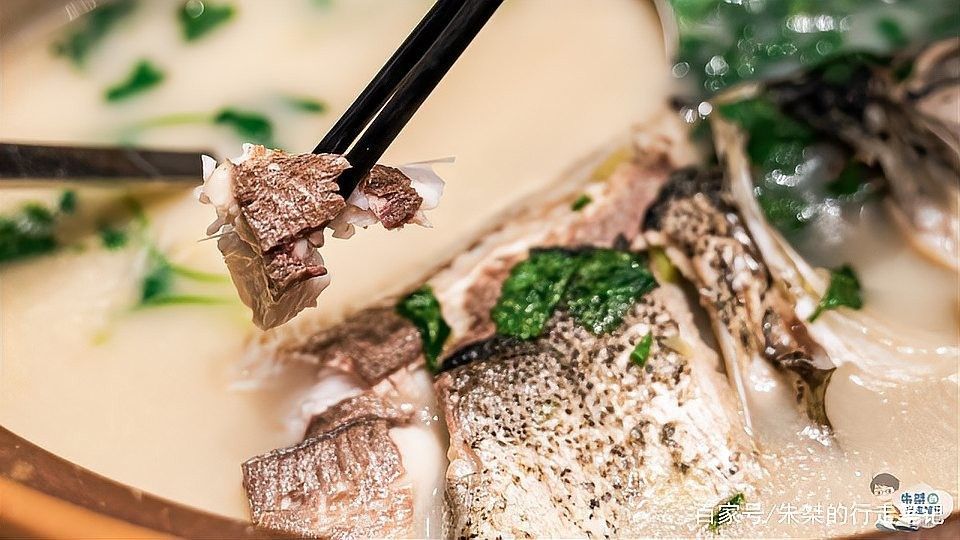杭州千島湖最出名的三種魚類，胖頭魚最受歡迎，第一個能想到的是（千島湖最受歡迎的三種魚類，胖頭魚最受歡迎，第一個能想到的是魚）