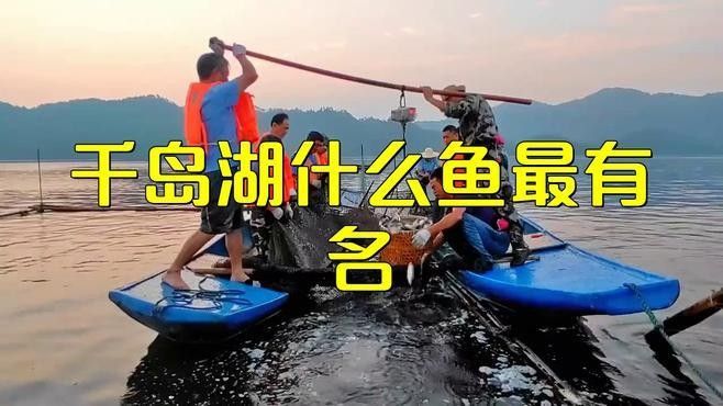杭州千島湖最出名的三種魚類，胖頭魚最受歡迎，第一個能想到的是（千島湖最受歡迎的三種魚類，胖頭魚最受歡迎，第一個能想到的是魚）