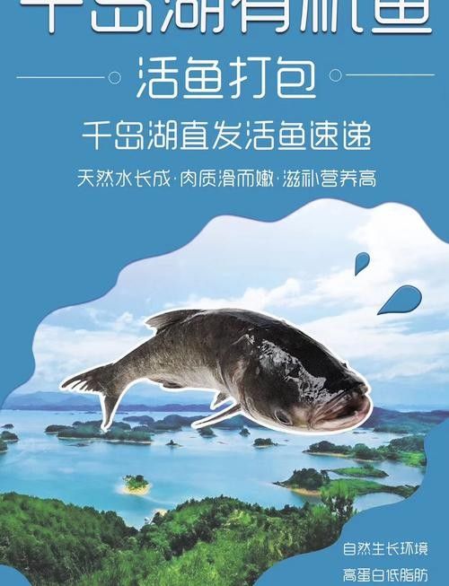 杭州千島湖最出名的三種魚類，胖頭魚最受歡迎，第一個能想到的是（千島湖最受歡迎的三種魚類，胖頭魚最受歡迎，第一個能想到的是魚）