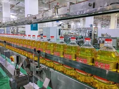 紅龍魚的飼養方法是什么（小紅龍魚怎么養不趴缸，）