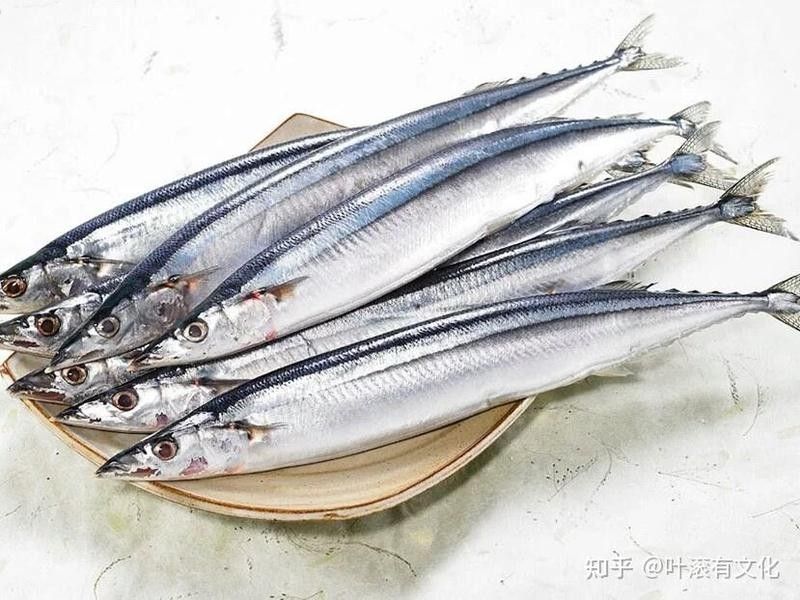 福建男子釣魚發(fā)現(xiàn)野生龍魚，網(wǎng)友：壓根不值錢貍貓之一（淮陽龍魚有哪些特征？）