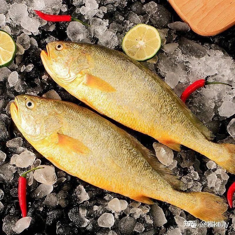 福建男子釣魚發(fā)現(xiàn)野生龍魚，網(wǎng)友：壓根不值錢貍貓之一（淮陽龍魚有哪些特征？）
