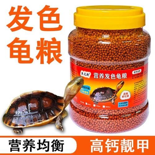 東烏金龍魚有哪些健康理念東烏金龍魚有哪些檔次（東烏金龍魚屬于什么檔次）