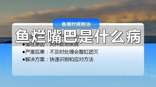 龍魚頻繁張嘴是什么病（魚嘴巴一直張開可能是由于多種原因造成的，養魚小竅門大公開）