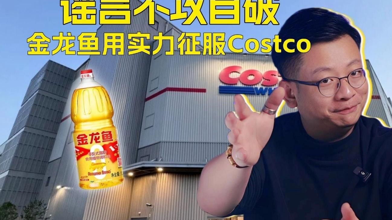 臥龍金龍魚屬于什么檔次