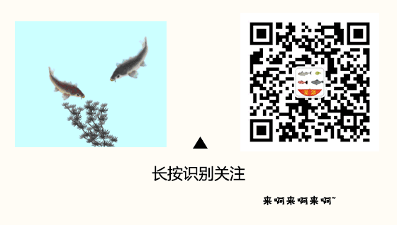 7000元的魚缸突然開裂，身價(jià)3萬元的名貴紅龍魚當(dāng)場(chǎng)死亡