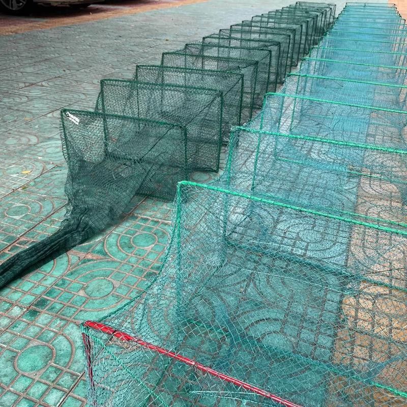 捕魚地籠的正確使用方法（地籠捕魚的正確方法）