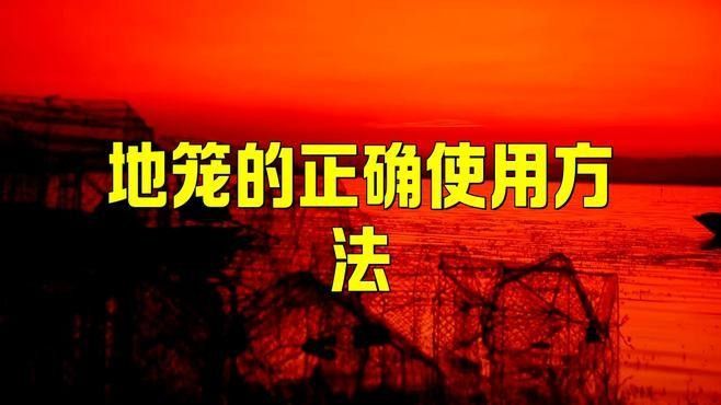 捕魚地籠的正確使用方法（地籠捕魚的正確方法）