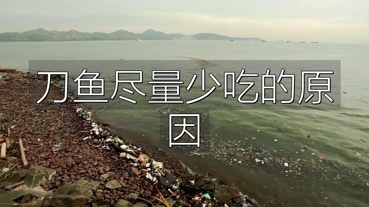 刀魚為何盡量少吃運小七的運營經盡量少吃的原因是什么（刀魚為何盡量少吃）