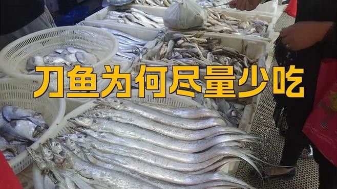 刀魚為何盡量少吃運小七的運營經盡量少吃的原因是什么（刀魚為何盡量少吃）