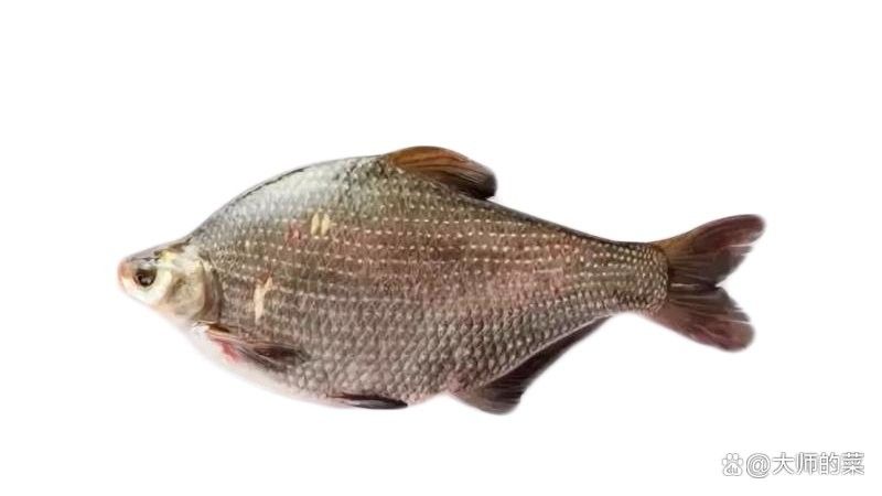 惠州東江的魚能吃嗎，惠州東江的魚能吃嗎梁小豹崽聽（惠州東江的魚怎么選？）