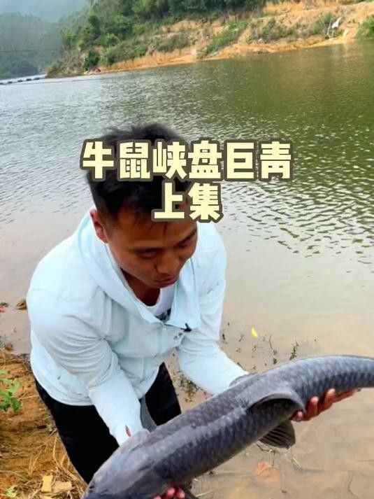 惠州東江的魚能吃嗎，惠州東江的魚能吃嗎梁小豹崽聽（惠州東江的魚怎么選？）