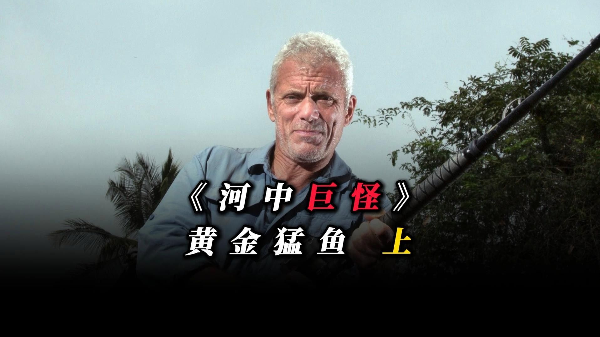 黃金河虎和黃金猛魚的區別（黃金河虎與黃金猛魚的區別）