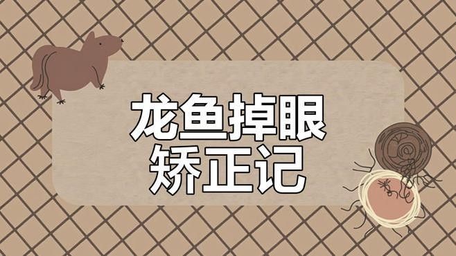 龍魚掉嘴的原因及解決方法（龍魚“掉嘴”怎么辦？）