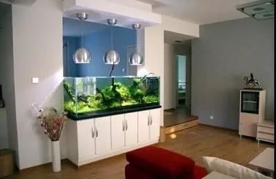 黑魚魚缸造景圖片大全：黑魚魚缸造景圖片大全：黑魚魚缸造景圖片（黑魚魚缸造景圖片大全）