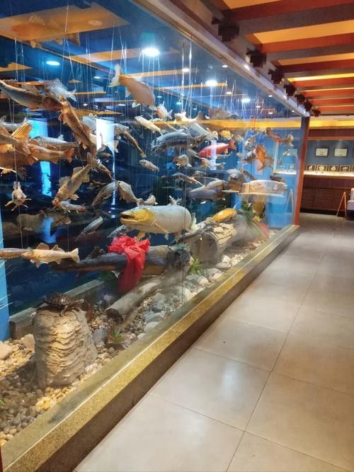 赤坎金龍魚的價格是多少？（-益海嘉里金龍魚食品集團股份有限公司旗下的知名糧油品牌）