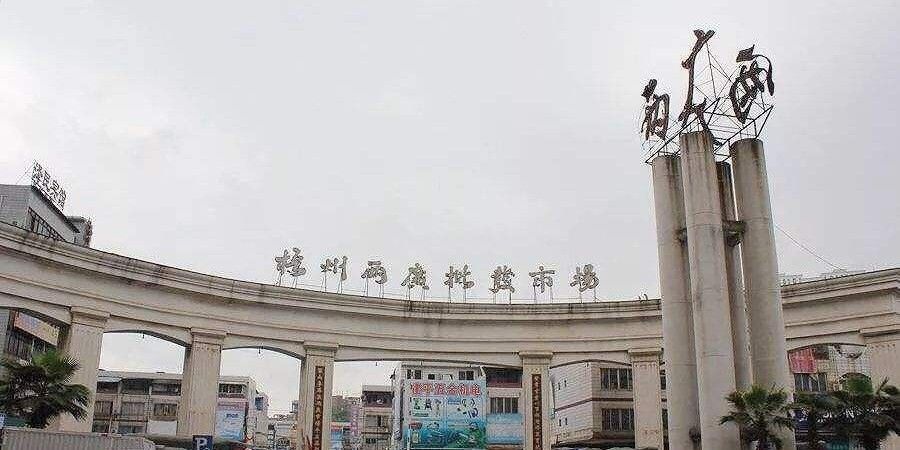 梧州魚批發市場（州魚批發市場位于中國廣西壯族自治區梧州市長洲區何鋒水產經營部）