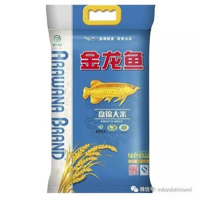 龍魚鱗上有白色絮狀物怎么回事（龍魚魚鱗上有白色絮狀物怎么回事）