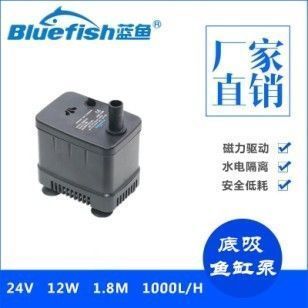 金龍魚養多長時間發色最好呢（金龍魚養多長時間發色最好）