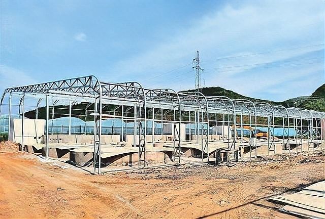 山西省臨汾市吉縣龍魚養殖有限公司（吉縣龍魚飼養全攻略:水質、光照、喂食技巧一網打盡）