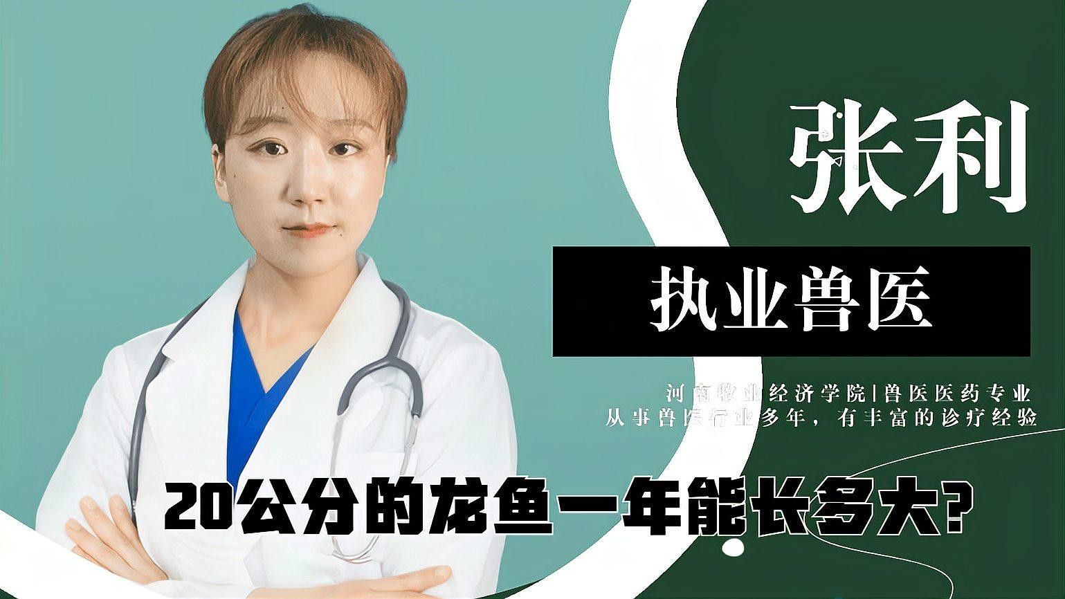 龍魚一年能長多大（20公分的龍魚一年能長多大）