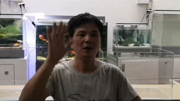 飯店海鮮魚缸養殖技巧飯店海鮮魚缸養殖技巧（——詳解飯店海鮮魚缸養殖技巧）