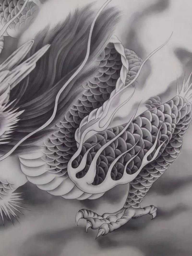龍魚的畫法步驟大全圖解（魚的畫法步驟大全圖解）