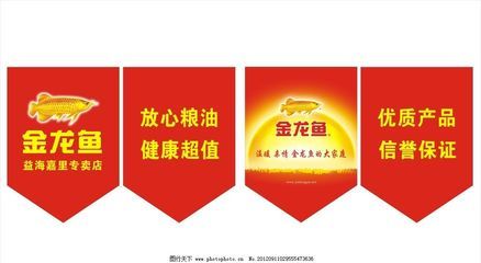 龍魚蒙眼能開燈嗎？揭秘龍魚視覺能力與光線感知（】龍魚蒙眼能開燈嗎揭秘龍魚蒙眼能開燈嗎）