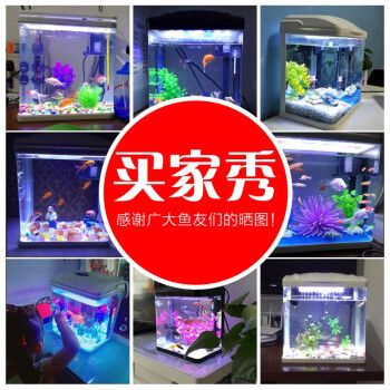 龍魚哪個漁場的最好（金龍魚哪個漁場最好吃，金龍魚最好吃）