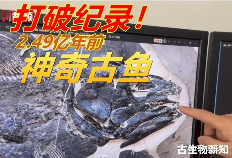 江泓，盤點(diǎn)那些名貴的觀賞魚，第一種越養(yǎng)越值錢（新安龍魚有哪些獨(dú)特的品種特征新安龍魚有哪些獨(dú)特的品種）