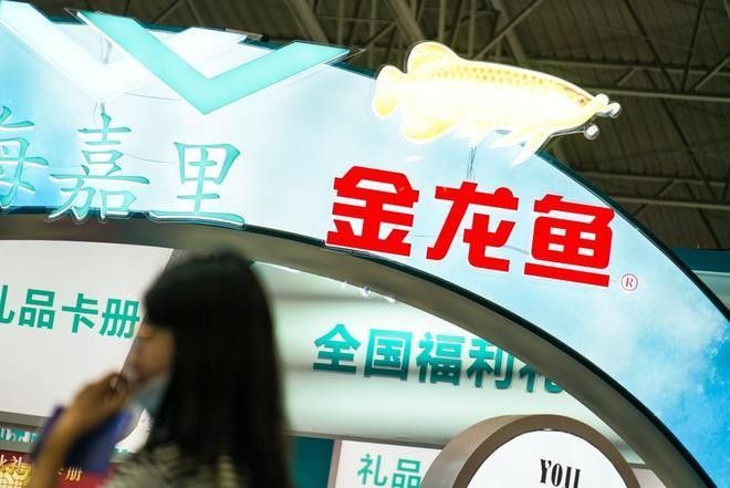 高縣金龍魚的市場占有率如何？（高縣文江鎮金龍魚巷是什么企業）