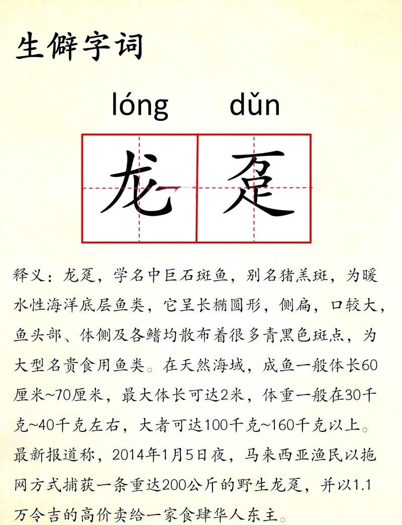龍躉魚是淡水魚還是海魚？（龍躉魚在淡水中的生存時(shí)間有多長）