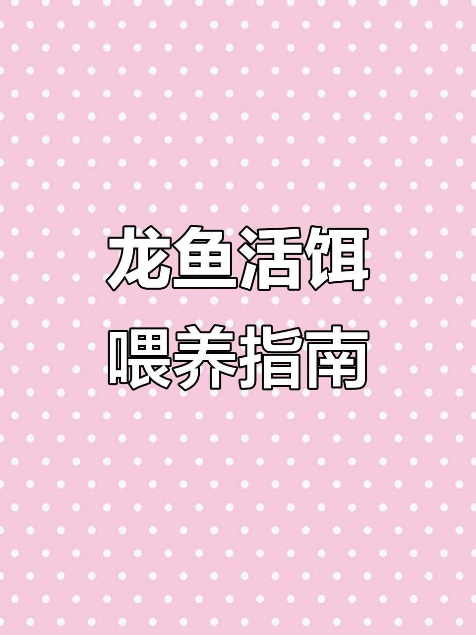 龍魚喂食全攻略:從蝦肉到昆蟲,哪種食物最適合龍魚喂養(yǎng)（帝龍漁業(yè)|龍魚喂食全攻略龍魚喂食全攻略）