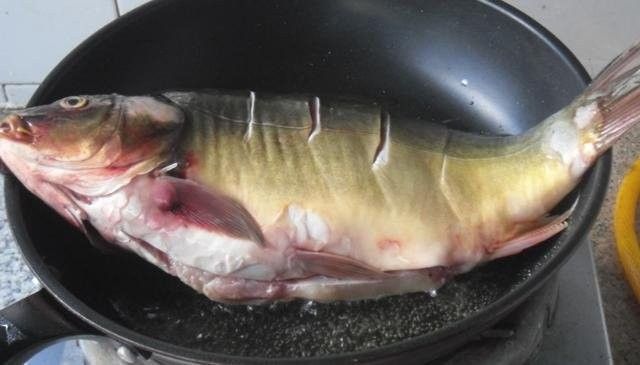 將樂金龍魚的三種簡單烹飪方法，三道鱗最好吃的做法（將樂金龍魚最簡單三個吃法,你嘗過嗎）