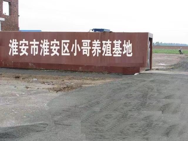 淮安市淮安區(qū)紅龍魚(yú)飼養(yǎng)的詳細(xì)指南淮安區(qū)有哪些紅龍魚(yú)供應(yīng)商（淮安區(qū)紅龍魚(yú)飼養(yǎng)指南）