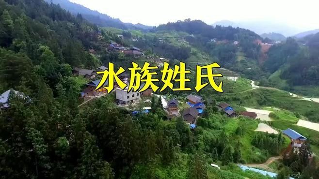 水族的姓氏有哪些？（水族姓氏有哪些？）