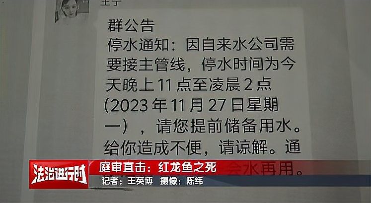 鄲城紅龍魚飼養(yǎng)技巧（河南周口鄲城紅龍魚飼養(yǎng)技巧:水質(zhì)管理全攻略）