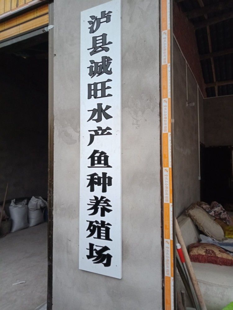 瀘縣龍魚的養殖技術（四川瀘縣龍魚養殖技巧與注意事項蘿蔓與書展開）