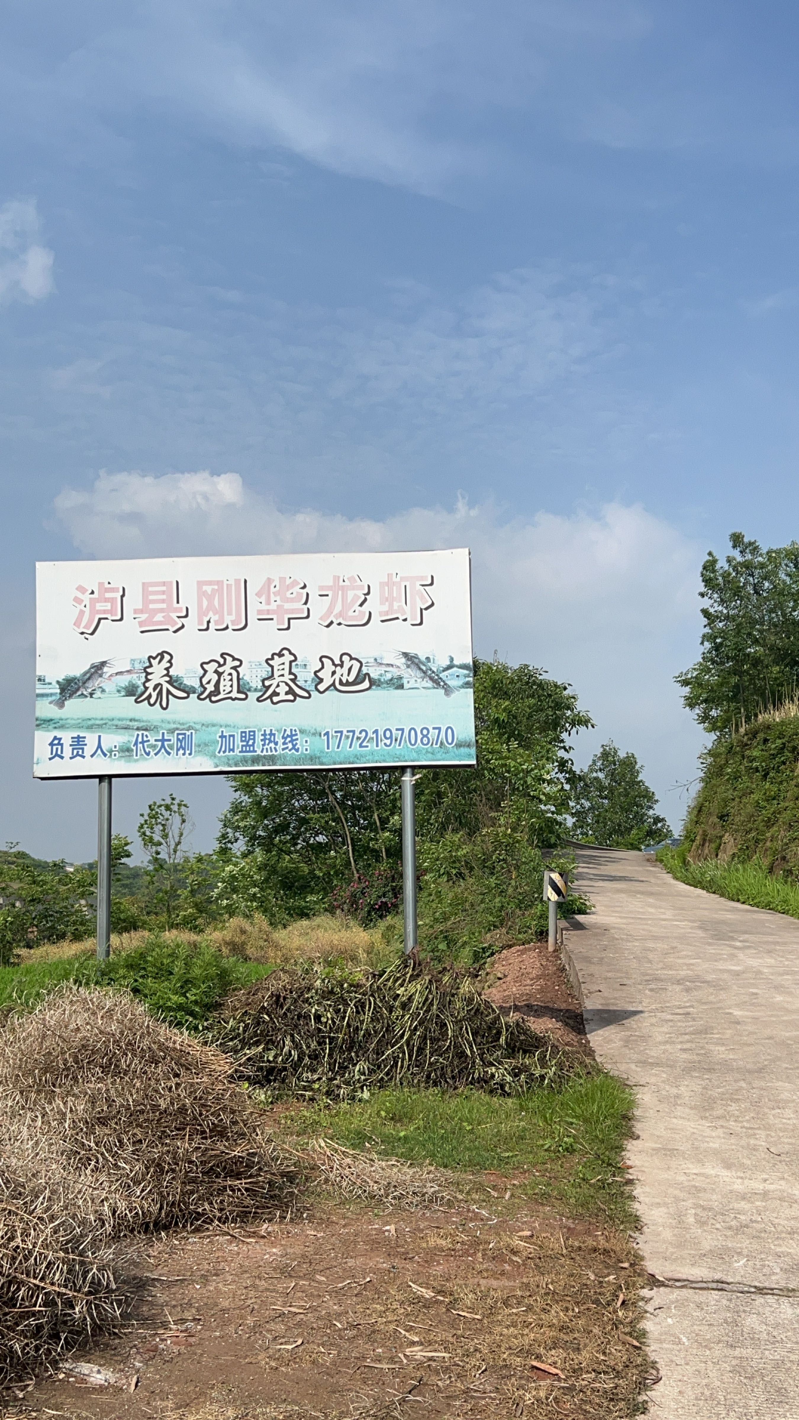 瀘縣龍魚的養殖技術（四川瀘縣龍魚養殖技巧與注意事項蘿蔓與書展開）