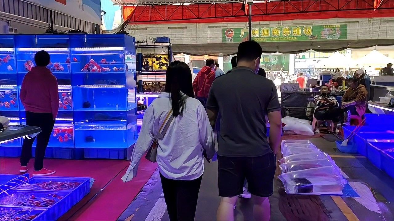 廣州芳村龍魚批發市場是您尋找高品質龍魚的理想之地（廣州芳村龍魚批發市場怎么樣？）
