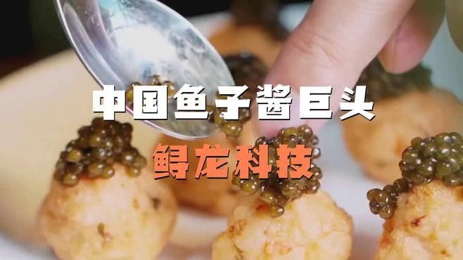 鱘龍科技沖刺“港股魚(yú)子醬第一股”｜ipo直通車(chē)（浙產(chǎn)魚(yú)子醬是真的“爆款擔(dān)當(dāng)”錢(qián)江晚報(bào)凈利潤(rùn)率超貴州茅臺(tái)）