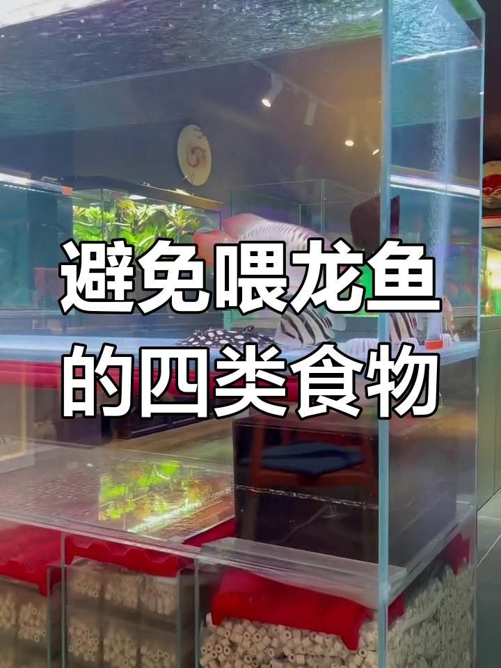 龍魚訓(xùn)食時，最忌諱三種東西：一是食物的硬度和大小，二是食物的味道（紅龍魚訓(xùn)食時，最忌諱三種東西：一是食物的硬度和大小）