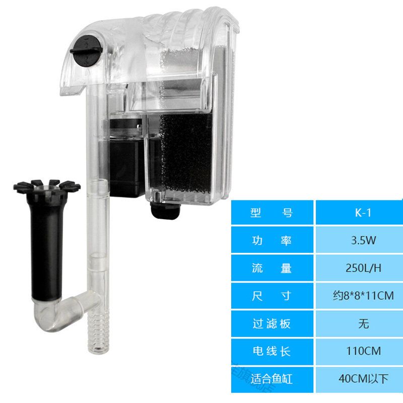 龍魚總在角落里不游動是怎么回事？（龍魚總在角落里不游動是一個需要關注的問題引起的解決方案）