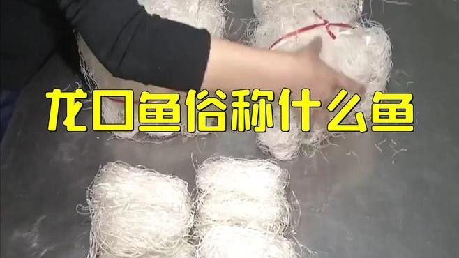 龍口魚的最佳烹飪方法是什么龍口魚的最佳烹飪方法是什么（龍口魚的最佳烹飪方法是什么龍口魚有哪些營養價值）