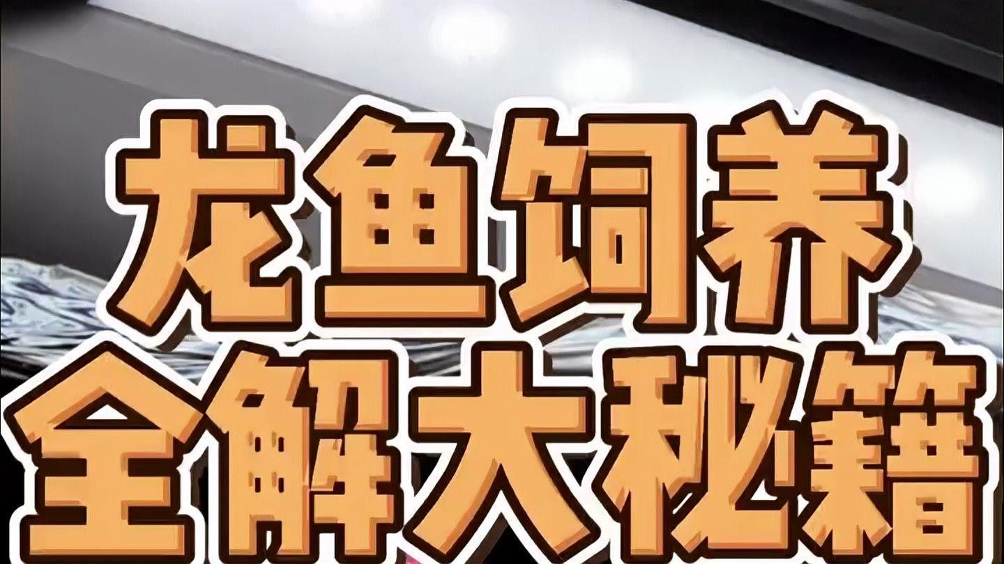 老邊龍魚最簡單的三個(gè)步驟（老邊龍魚最簡單、最直接的三個(gè)步驟） 老邊龍魚最簡單的三個(gè)步驟（老邊龍魚最簡單、最直接的三個(gè)步驟） 觀賞魚百科 第3張
